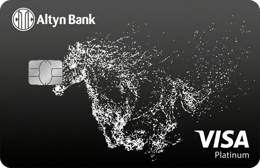 Visa Platinum
